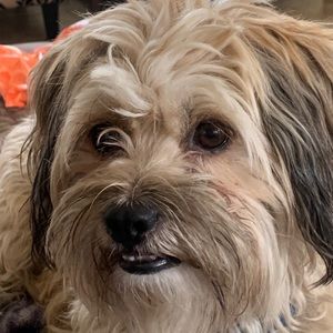 Meet your Posher, Melanie